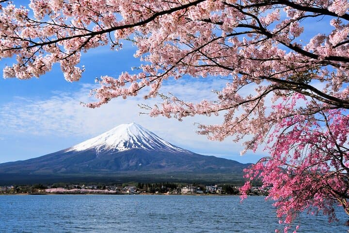 Takayama to Tokyo Scenic Bus via Mt. Fuji 5th Station — One-Way Transfer & Photo Stop photo 3