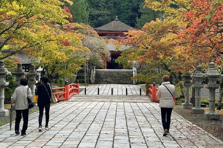 Private 2-Hour Koyasan Okuno-in Tour — UNESCO Okunoin Cemetery Highlights photo 2