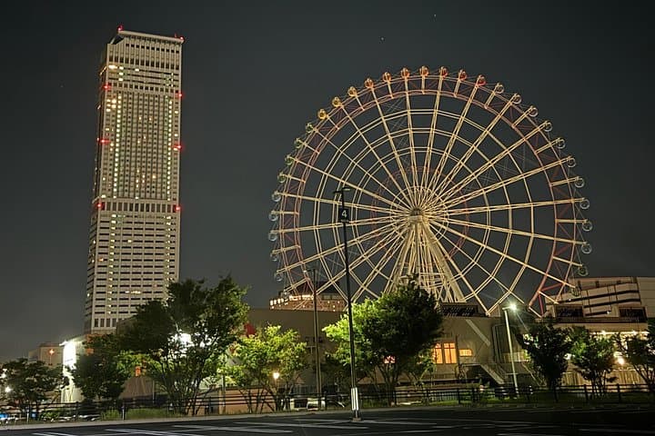 Private Osaka Day Tour: Customized English-Guided Itinerary to Osaka Castle, Dotonbori & Shinsekai photo 4