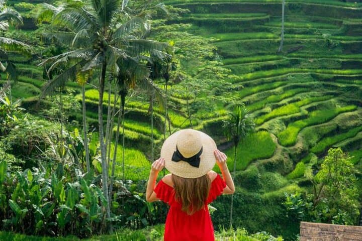 Customize Your Perfect Day in Ubud: Private Tour of Temples, Rice Terraces & Waterfalls photo 2