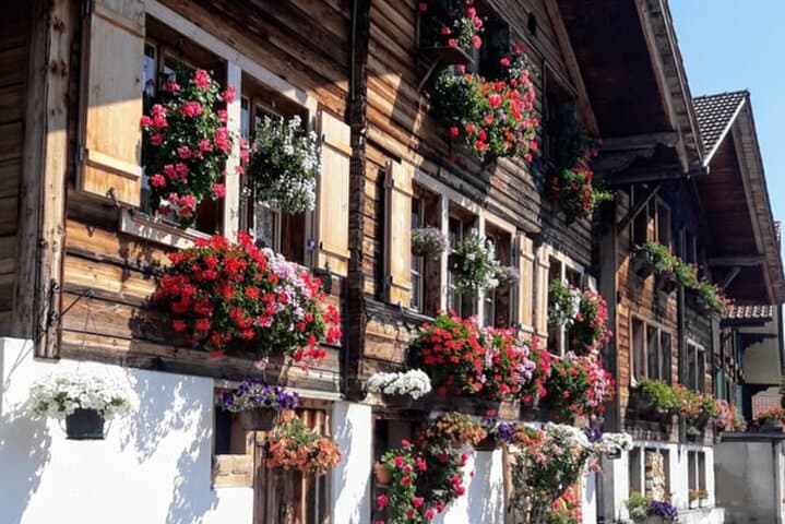 Private Lake Brienz & Aare Gorge Tour — Brünig Pass, Iseltwald Pier & Mr No Name Waterfall photo 2