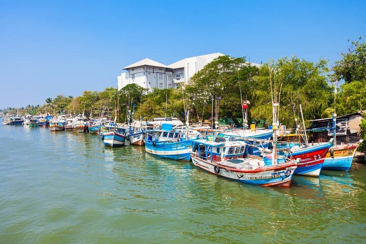 Experience Sri Lanka: 7-Day Coastal-to-Highland Adventure photo 4