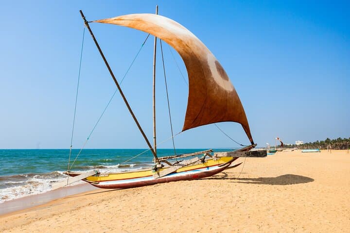 Experience Sri Lanka: 7-Day Coastal-to-Highland Adventure photo 3