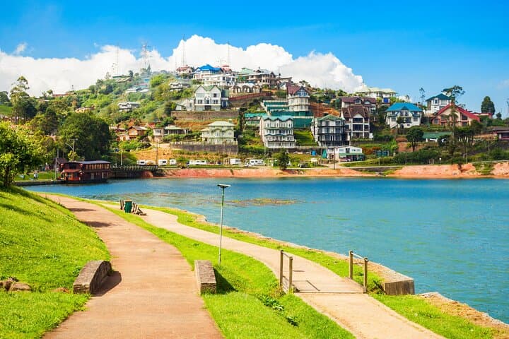 Experience Sri Lanka: 7-Day Coastal-to-Highland Adventure photo 6