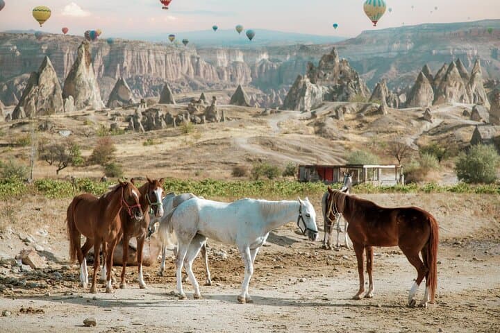 Cappadocia Scenic Horseback Riding: Sunset & Daytime Tours Through Fairy Chimneys photo 2