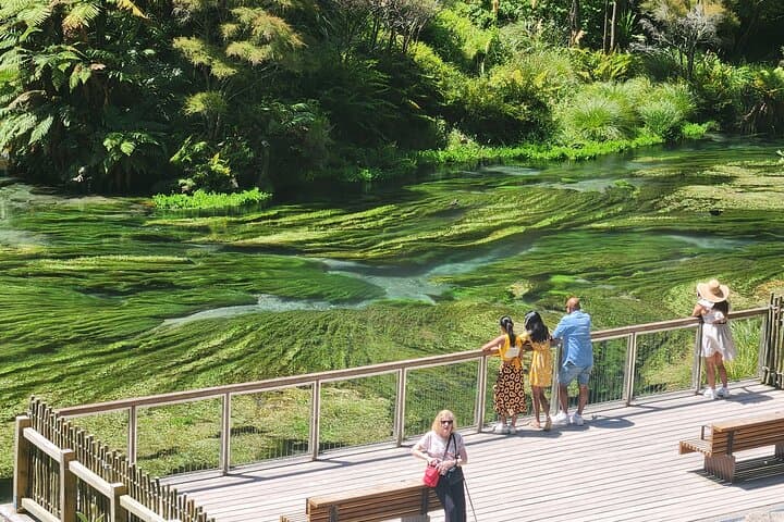 Full-Day Wai-O-Tapu, Huka Falls & Blue Spring Private Tour from Auckland photo 1