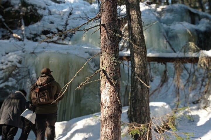 Nuuksio National Park Guided Hike — Lakes, Taiga Trails, and Finnish Soup photo 3