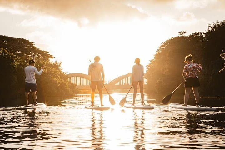 Sunset SUP in Haleiwa: Paddle with Hawaiian Green Sea Turtles at Dusk photo 1