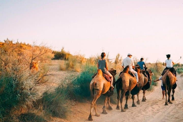 2-Day Yurt Safari from Bukhara to Samarkand — Aydarkul, Sarmishsay & Nurata