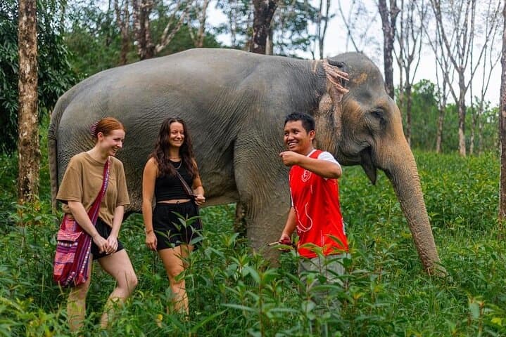 Phuket Elephant Sanctuary & Karen Tribe Immersion: Ethical Elephant Encounters and Jungle Walk photo 5