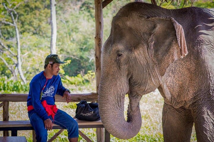 Phuket Elephant Sanctuary & Karen Tribe Immersion: Ethical Elephant Encounters and Jungle Walk photo 6