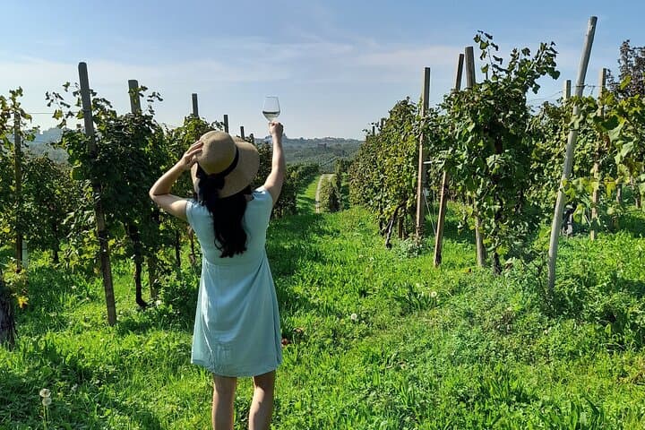 Half-Day Prosecco Road Tour from Conegliano: Vineyards, Cellars & Tastings