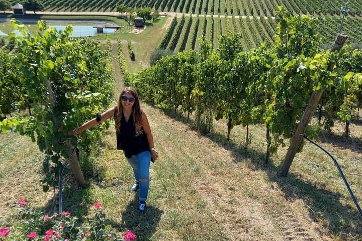 Half-Day Prosecco Road Tour from Conegliano: Vineyards, Cellars & Tastings photo 5