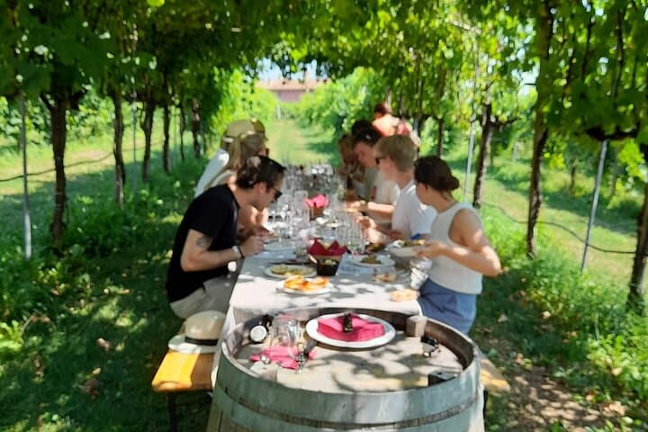 Half-Day Prosecco Road Tour from Conegliano: Vineyards, Cellars & Tastings photo 6