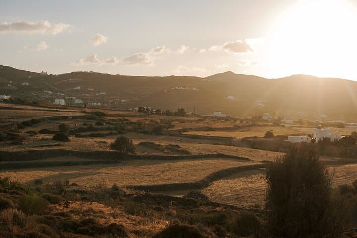Sunrise Horseback Ride to Parasporos Beach, Paros photo 3
