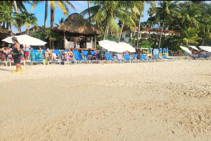 Roatan Snorkeling Adventure — West Bay Reef & Sloth & Monkey Beach Break photo 3