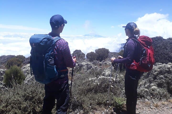 2-Day Mount Kenya Overnight: Naromoru Route Trek