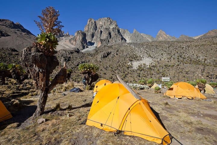 2-Day Mount Kenya Overnight: Naromoru Route Trek photo 2