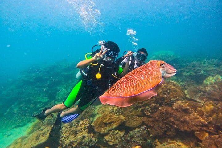 Half-Day Scuba at Maiton Private Island: Small-Group Dives from Phuket