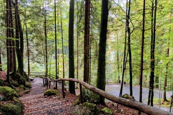 Giessbach Waterfall and CLOY Pier: Private Sightseeing Tour from Interlaken photo 3