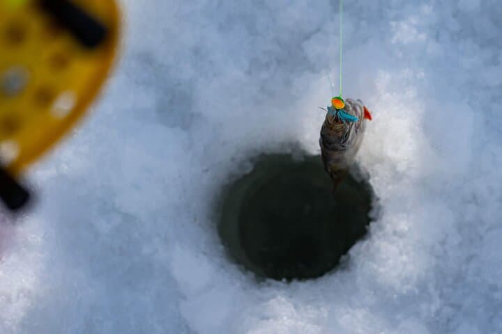 Ice Fishing and Snowshoeing near Rovaniemi: Private Lake Trip with Salmon Soup photo 2