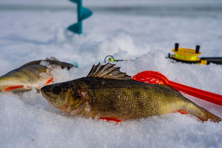 Ice Fishing and Snowshoeing near Rovaniemi: Private Lake Trip with Salmon Soup