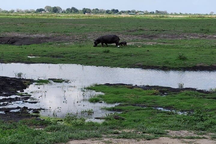 Spanish-Guided Victoria Falls & Chobe Safari — Falls Walk, Boat Cruise and 4x4 photo 4