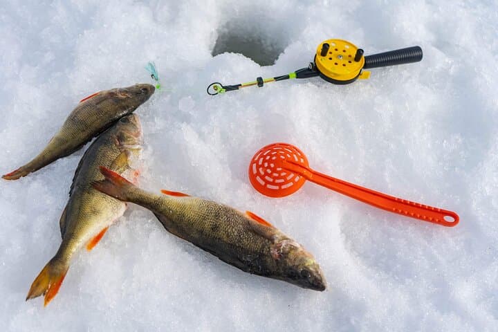 Ice Fishing and Snowshoeing near Rovaniemi: Private Lake Trip with Salmon Soup photo 6