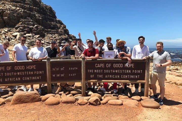 Cape Peninsula Day Tour: Penguins, Seals, Chapman’s Peak & Constantia Wine Tasting