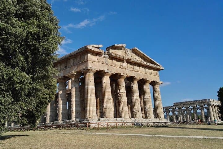 Paestum Temples and Mozzarella: Buffalo Farm Tour from Salerno photo 3