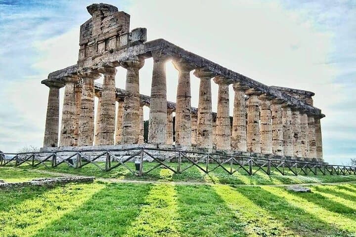 Paestum Temples and Mozzarella: Buffalo Farm Tour from Salerno