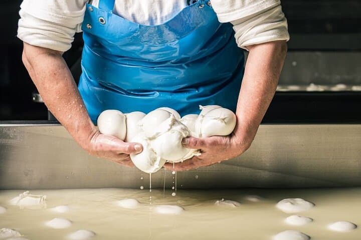Paestum Temples and Mozzarella: Buffalo Farm Tour from Salerno photo 4