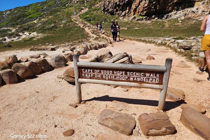 Cape Peninsula Day Tour: Penguins, Seals, Chapman’s Peak & Constantia Wine Tasting photo 6