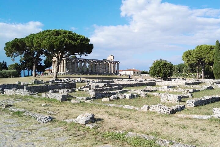 Paestum Temples and Mozzarella: Buffalo Farm Tour from Salerno photo 2