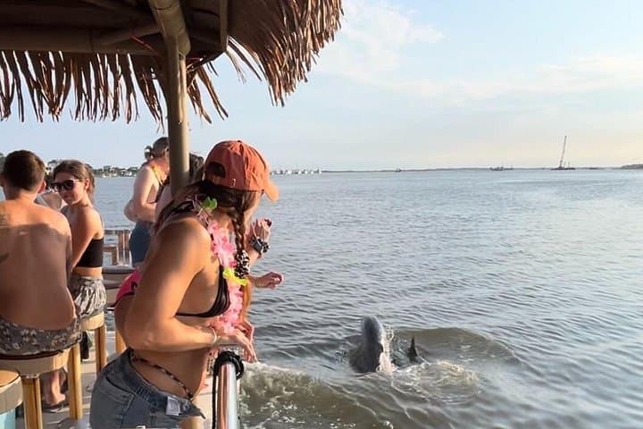 Folly Beach Tiki Boat Tour: 2-Hour Dolphin Cruise & Island Swim photo 2