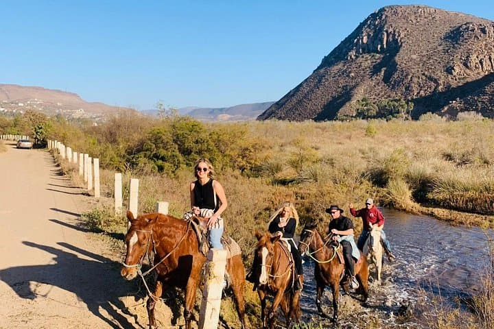 All-Inclusive Beach Horseback Riding in Baja California — Private Day Trip photo 2