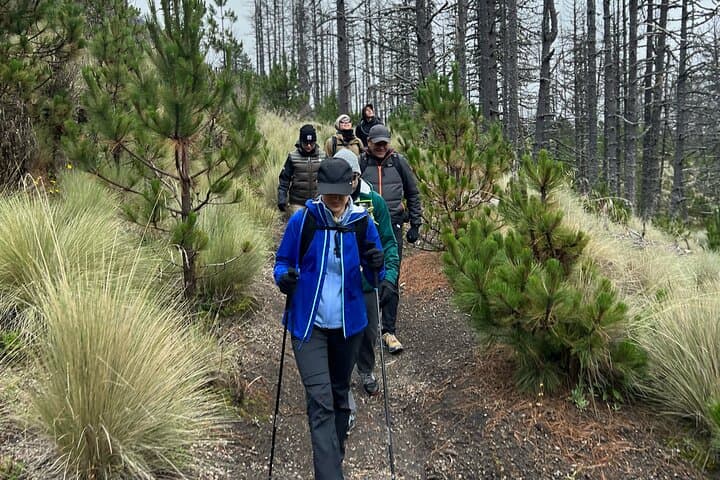 Snowy Colima Day Hike from Guadalajara: Summit Nevado de Colima in a Day photo 4