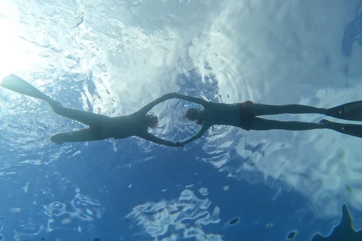 Paradise Honu Morning Snorkeling Tour — Waikiki Turtle Canyon Snorkel with Underwater Photos photo 5