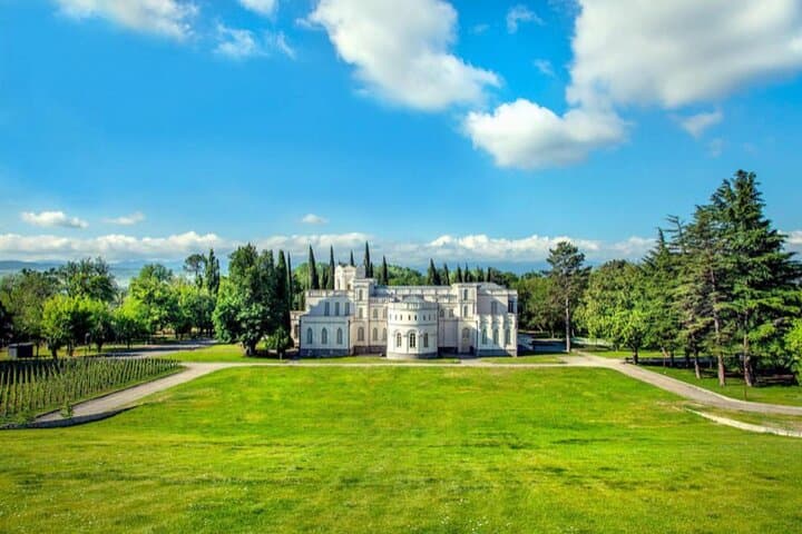 Private Tbilisi & Chateau Mukhrani Tour: Wine Tasting, Cable Car Views & Gourmet Lunch
