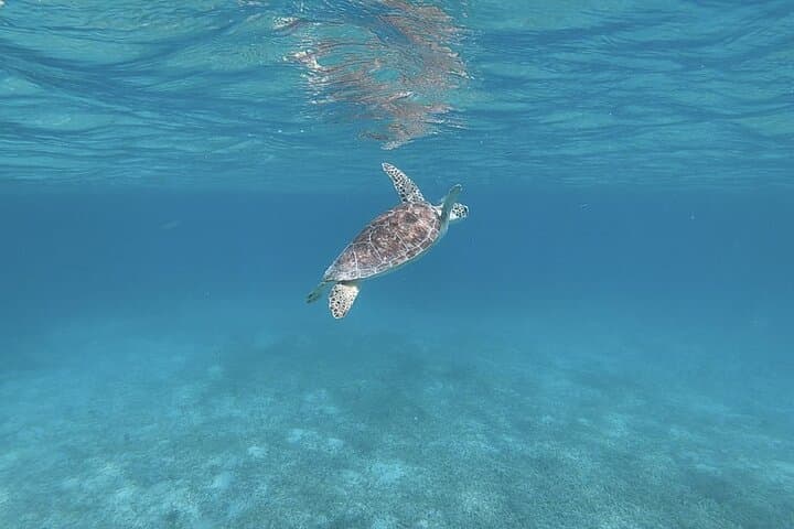 Culebra Island Day Trip from San Juan — Ferry, Flamenco Beach & Snorkeling Guide photo 3