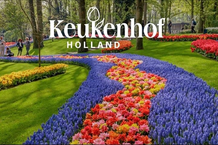Luxury Keukenhof Private Tour with Canal Cruise & Tulip Experience photo 2