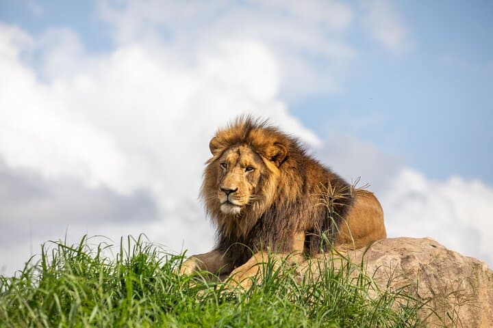 Sydney Zoo Bungarribee Wildlife Experience — Visitor Guide & Practical Tips photo 3