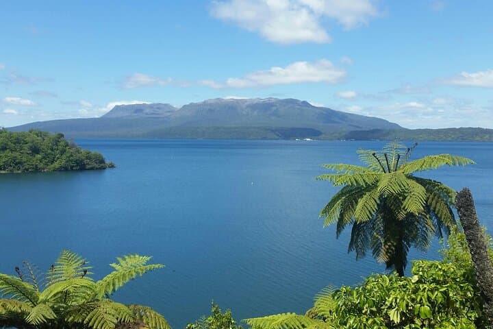Rotorua Private Tour from Tauranga — Geothermal Wonders & Māori Heritage photo 5