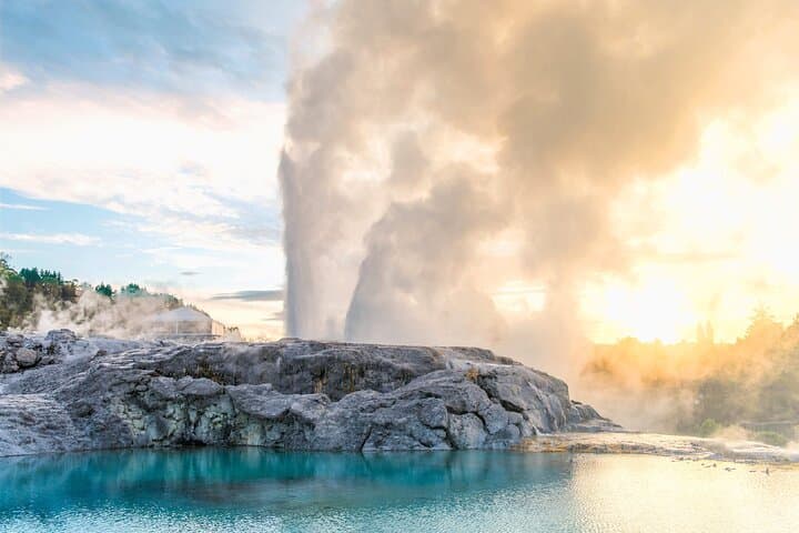 Te Puia Rotorua: Geothermal Wonders, Māori Performance and Kiwi Conservation