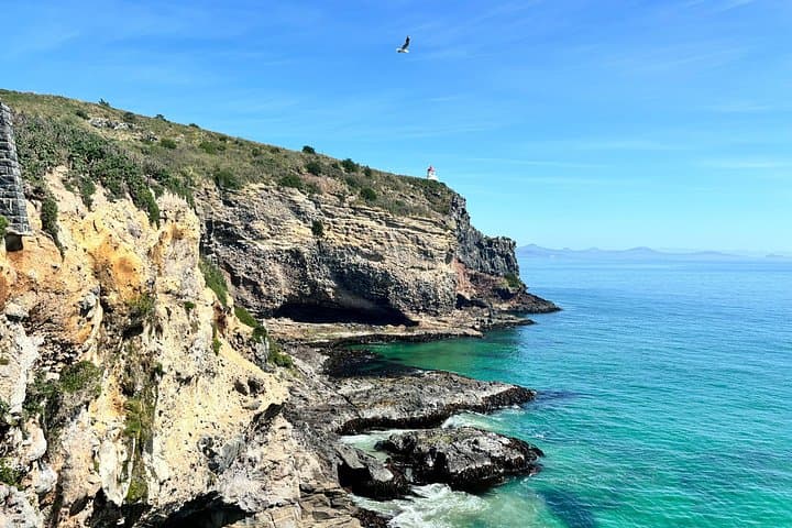 Private Dunedin & Otago Peninsula Day Tour: Albatross, Coastal Views & City Sights photo 3