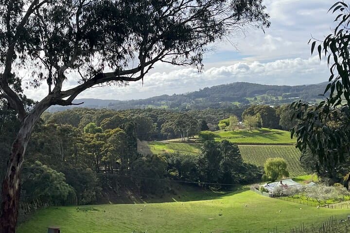 Adelaide Hills e-Bike Tour: Piccadilly Valley to Mt Lofty Self-Guided Ride photo 2