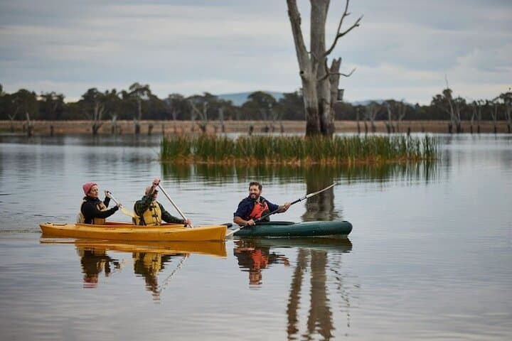 Guided Canoe Paddle on Lake Fyans — Grampians Canoeing Experience photo 4