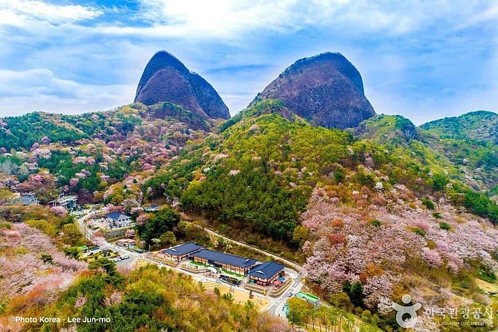 Maisan Cherry Blossoms and Jeonju Hanok Village Day Tour: Nature, Stone Pagodas & Traditional Food