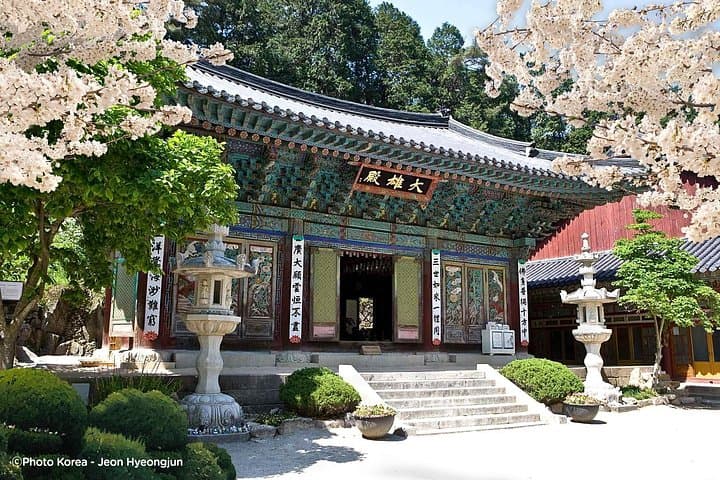 Donghaksa Temple Cherry Blossoms and Jeonju Hanok Village Day Tour from Seoul