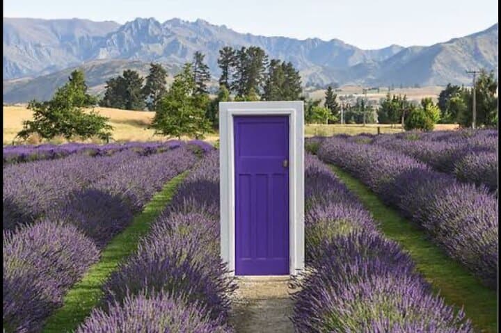 Queenstown to Wanaka Private Day Tour — Crown Range, Arrowtown & Wanaka Highlights photo 4